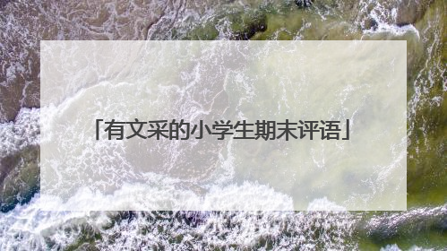 有文采的小学生期末评语