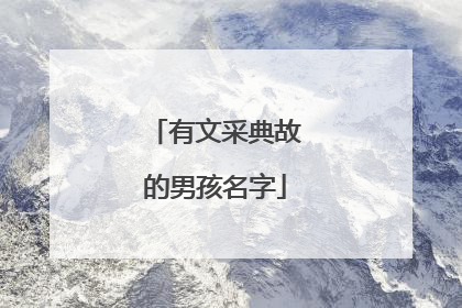 有文采典故的男孩名字