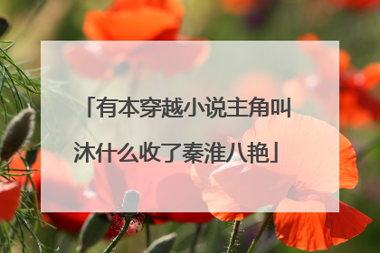 有本穿越小说主角叫沐什么收了秦淮八艳