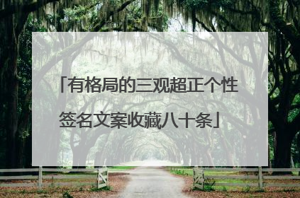 有格局的三观超正个性签名文案收藏八十条