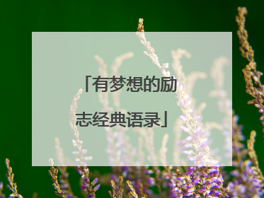 有梦想的励志经典语录