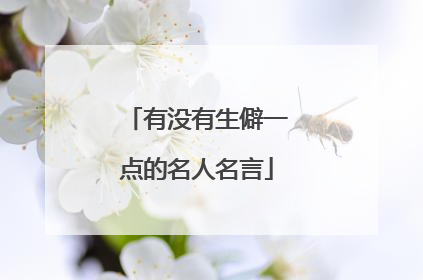 有没有生僻一点的名人名言