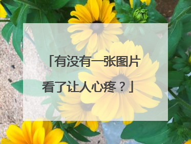 有没有一张图片看了让人心疼？