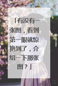 有没有一张图，看到第一眼就惊艳到了，介绍一下那张图？