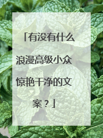 有没有什么浪漫高级小众惊艳干净的文案?