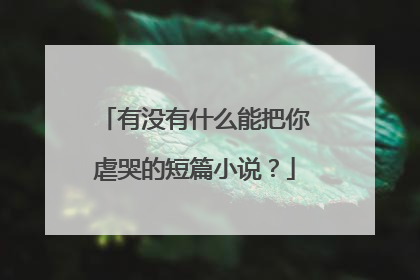 有没有什么能把你虐哭的短篇小说？