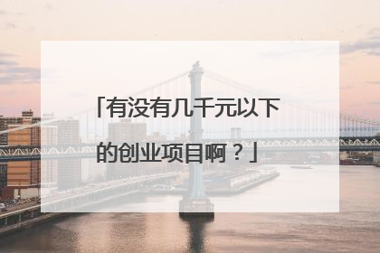 有没有几千元以下的创业项目啊?