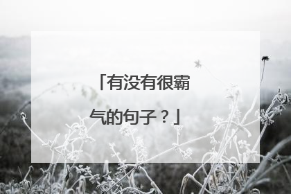有没有很霸气的句子？