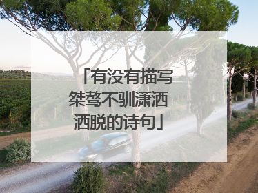 有没有描写桀骜不驯潇洒洒脱的诗句