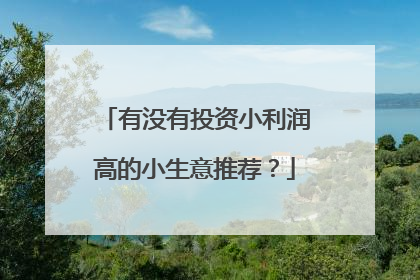 有没有投资小利润高的小生意推荐？