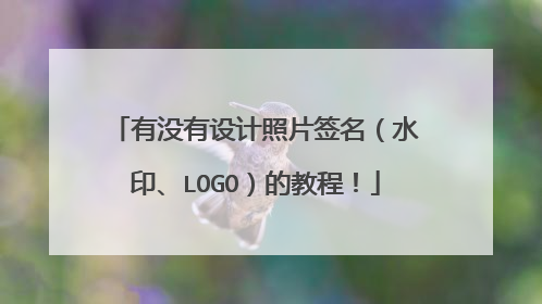 有没有设计照片签名（水印、LOGO）的教程！
