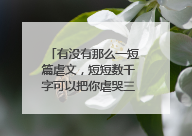 有没有那么一短篇虐文，短短数千字可以把你虐哭三次以上？