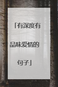 有深度有品味爱情的句子