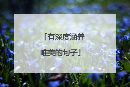 有深度涵养唯美的句子