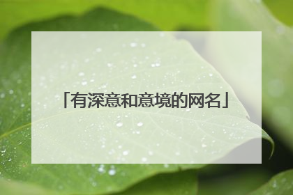 有深意和意境的网名