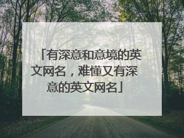 有深意和意境的英文网名，难懂又有深意的英文网名