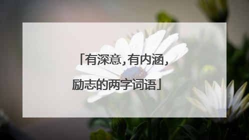 有深意,有内涵,励志的两字词语