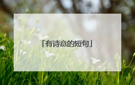 有诗意的短句