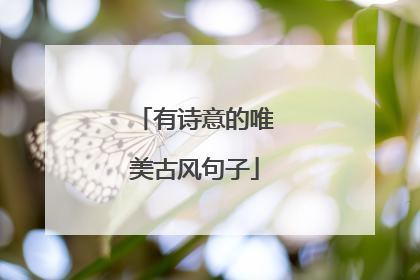 有诗意的唯美古风句子