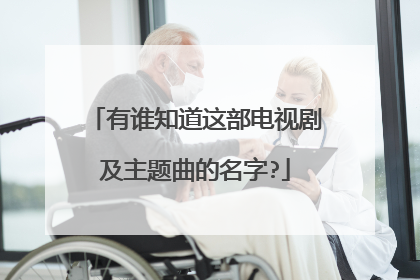 有谁知道这部电视剧及主题曲的名字?