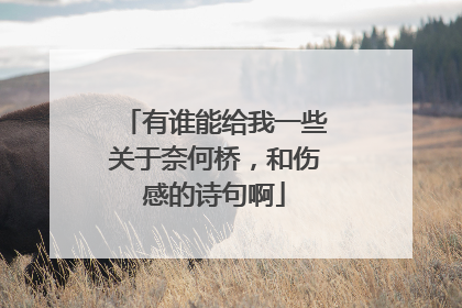 有谁能给我一些关于奈何桥,和伤感的诗句啊
