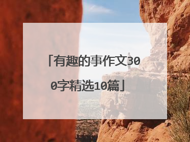 有趣的事作文300字精选10篇