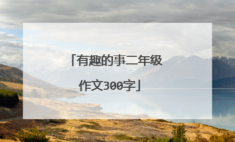 有趣的事二年级作文300字