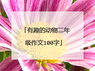 有趣的动物二年级作文100字