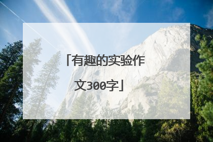 有趣的实验作文300字