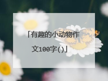 有趣的小动物作文100字()