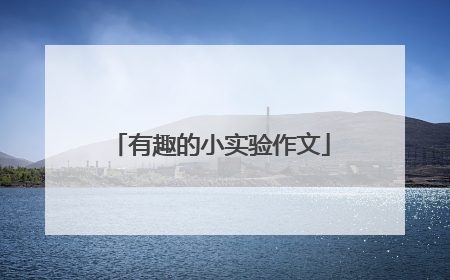 有趣的小实验作文