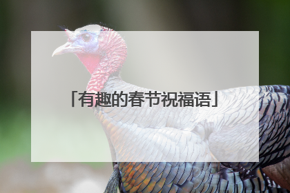 有趣的春节祝福语