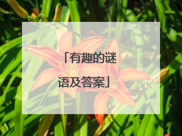 有趣的谜语及答案