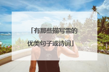 有那些描写雪的优美句子或诗词