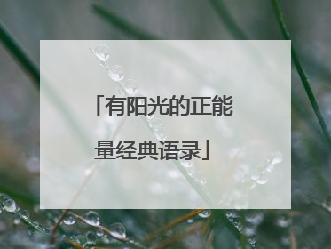 有阳光的正能量经典语录