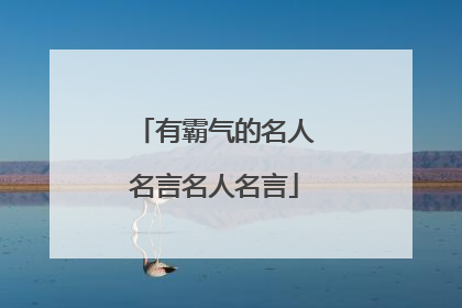 有霸气的名人名言名人名言