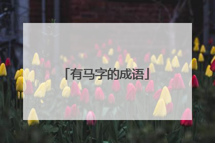 有马字的成语
