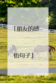 朋友的感悟句子