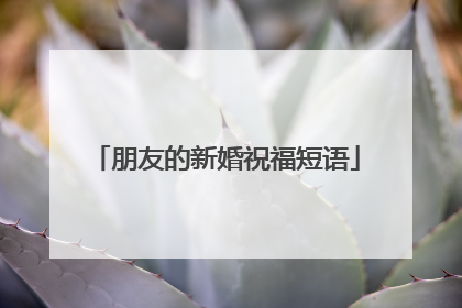 朋友的新婚祝福短语