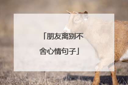 朋友离别不舍心情句子