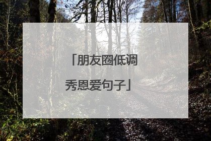 朋友圈低调秀恩爱句子