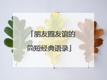 朋友圈友谊的简短经典语录