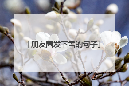 朋友圈发下雪的句子