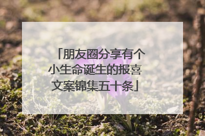 朋友圈分享有个小生命诞生的报喜文案锦集五十条