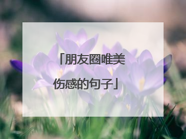 朋友圈唯美伤感的句子