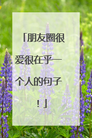 朋友圈很爱很在乎一个人的句子！
