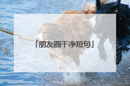 朋友圈干净短句