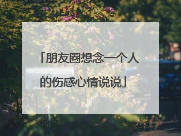 朋友圈想念一个人的伤感心情说说