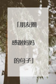 朋友圈感谢妈妈的句子