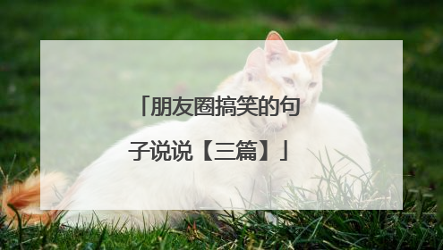 朋友圈搞笑的句子说说【三篇】